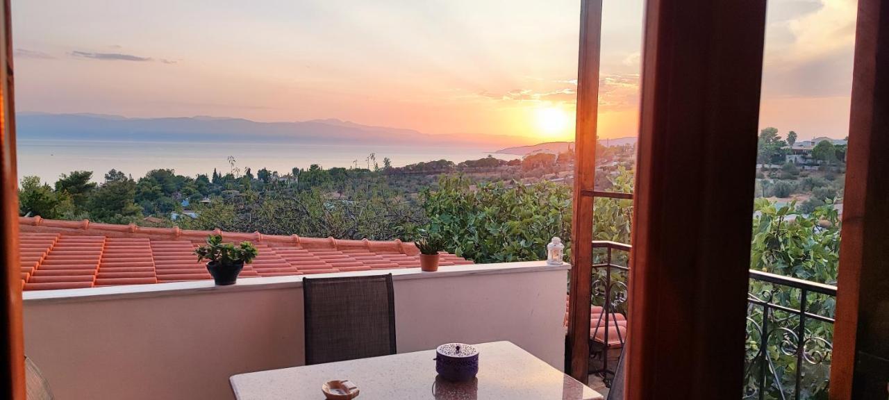 Thomas View Εξοχικό Σπίτι Με Θέα Στη Θάλασσα 波多河丽 外观 照片